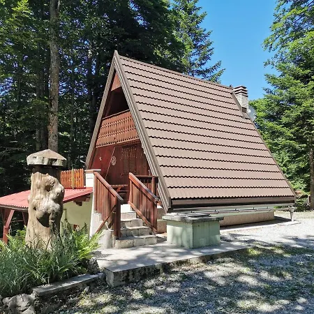 Koca Planika, Sviscaki Ilirska Bistrica