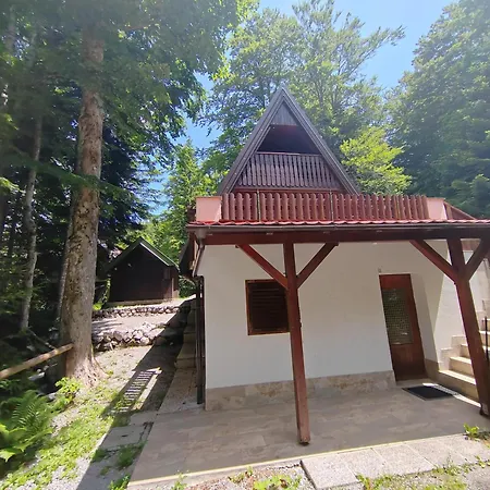 Casa vacanze Koca Planika, Sviscaki