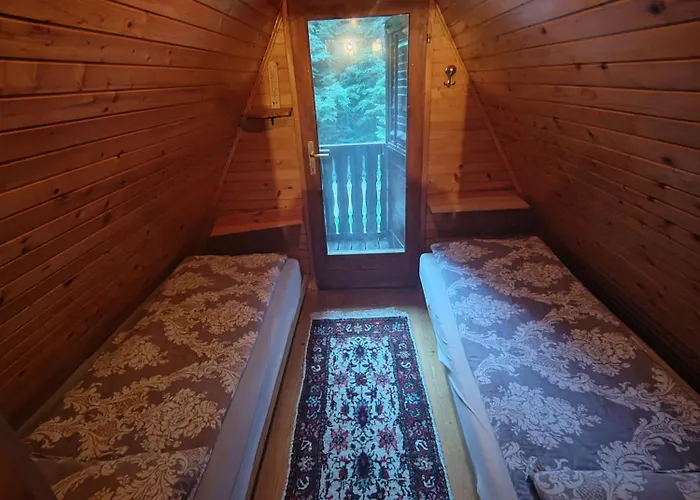 Koca Planika, Sviscaki